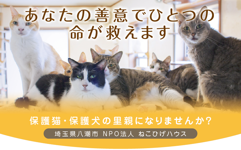ねこひげハウス ねこひげハウス 埼玉県 八潮市 保護猫