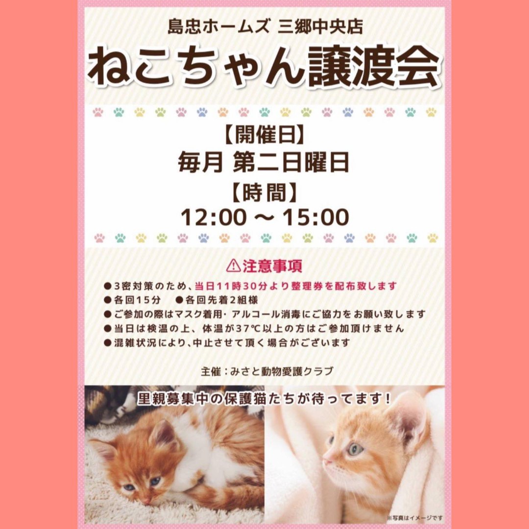 7 11 日 島忠三郷中央店譲渡会のお知らせ ねこひげハウス